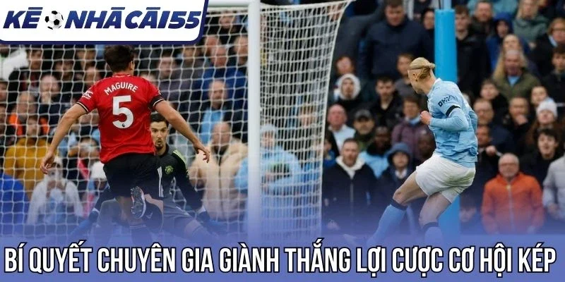 Kinh nghiệm cá cược tỷ lệ kép từ chuyên gia