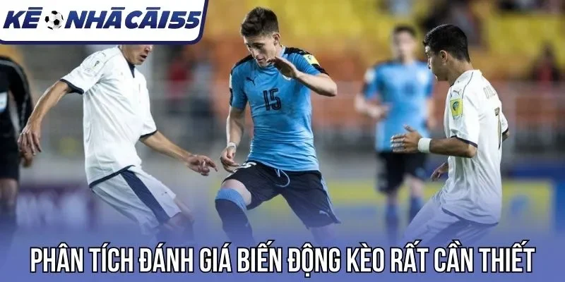 Phân tích đánh giá biến động kèo rất cần thiết