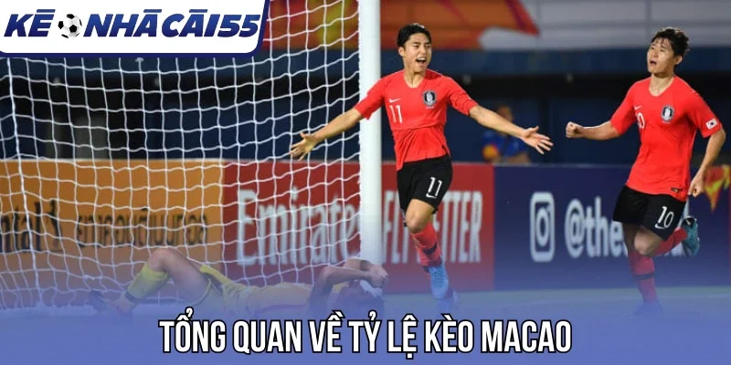 Tổng quan về tỷ lệ kèo Macao