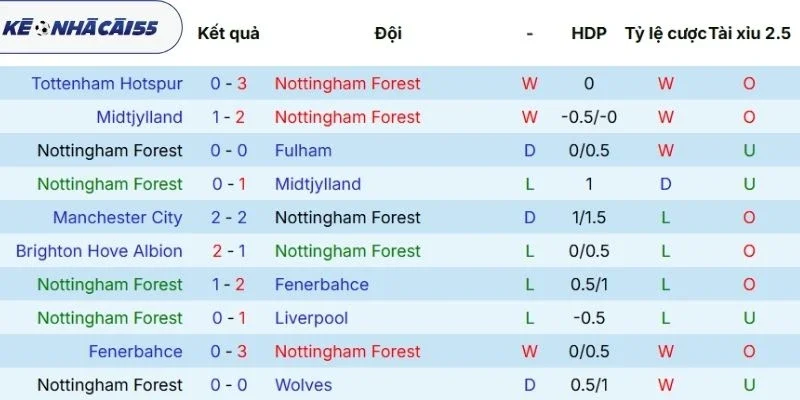 Tổng hợp kết quả ra sân của Nottingham vừa qua