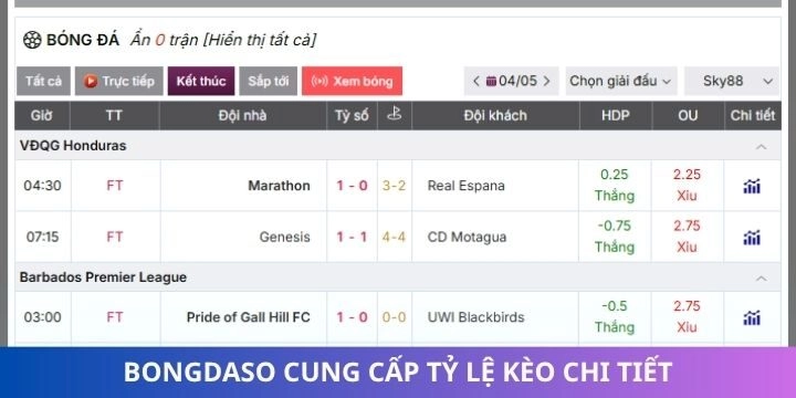 Bongdaso cung cấp tỷ lệ kèo chính xác mới nhất cho người dùng