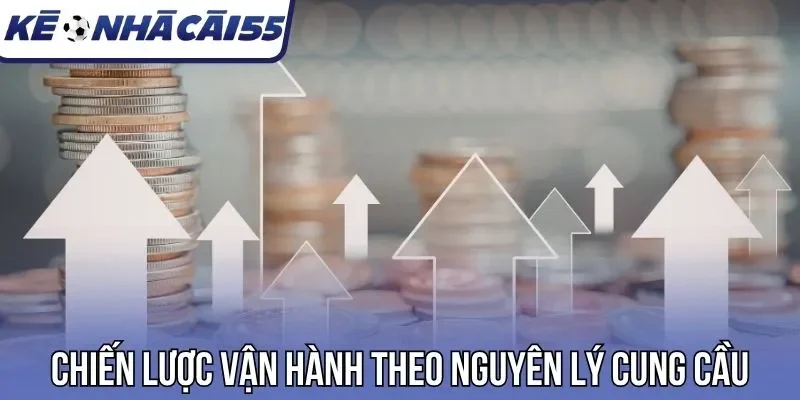 Chiến lược vận hành theo nguyên lý cung cầu