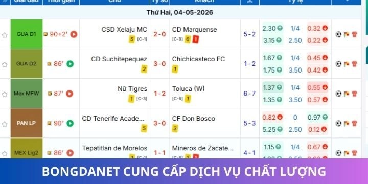 Tận hưởng từng tính năng chất lượng của bongdanet
