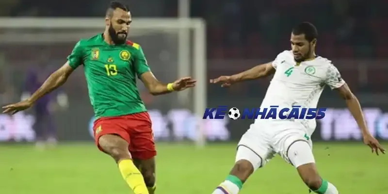 Đội hình và sơ đồ dự kiến của đội đội Algérie vs Áo