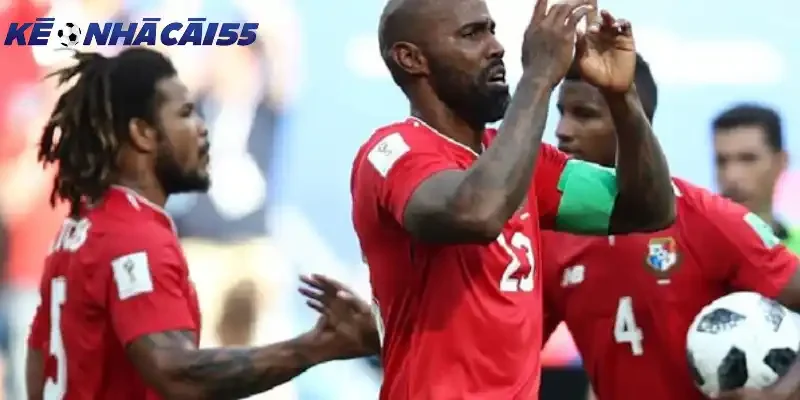 Đội hình và sơ đồ dự kiến của Panama vs Anh