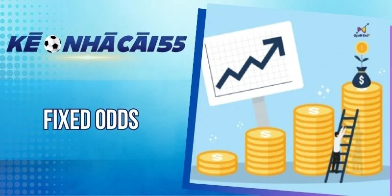 Fixed Odds – Chiến Lược Cược Đỉnh Cao, Tăng Lợi Nhuận Nhanh