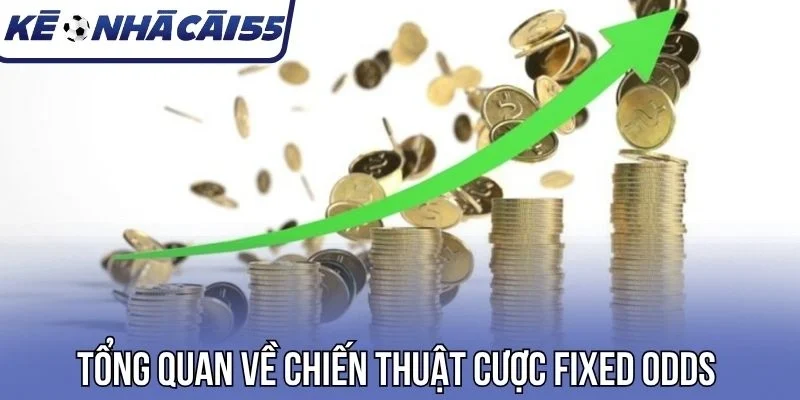 Tổng quan về chiến thuật cược Fixed Odds 